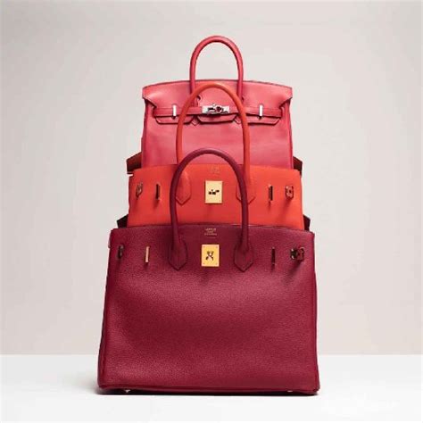 borse hermes kelly e birkin|hermes birkin and kelly bag.